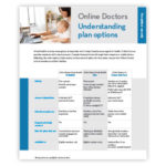 En Understanding Plan Options Icon